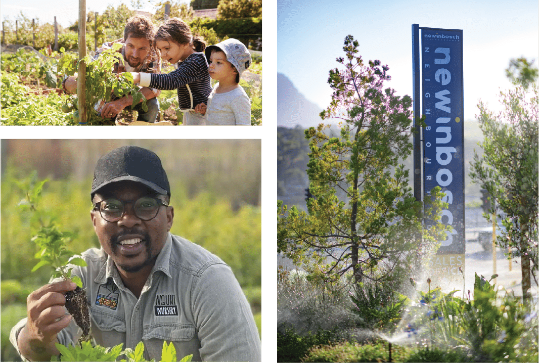Newinbosch_sustainbility spotlight
