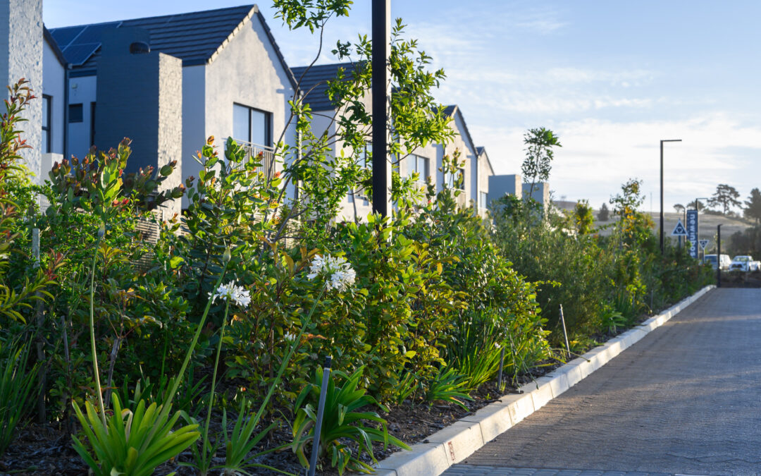 Waterwise, from the ground up