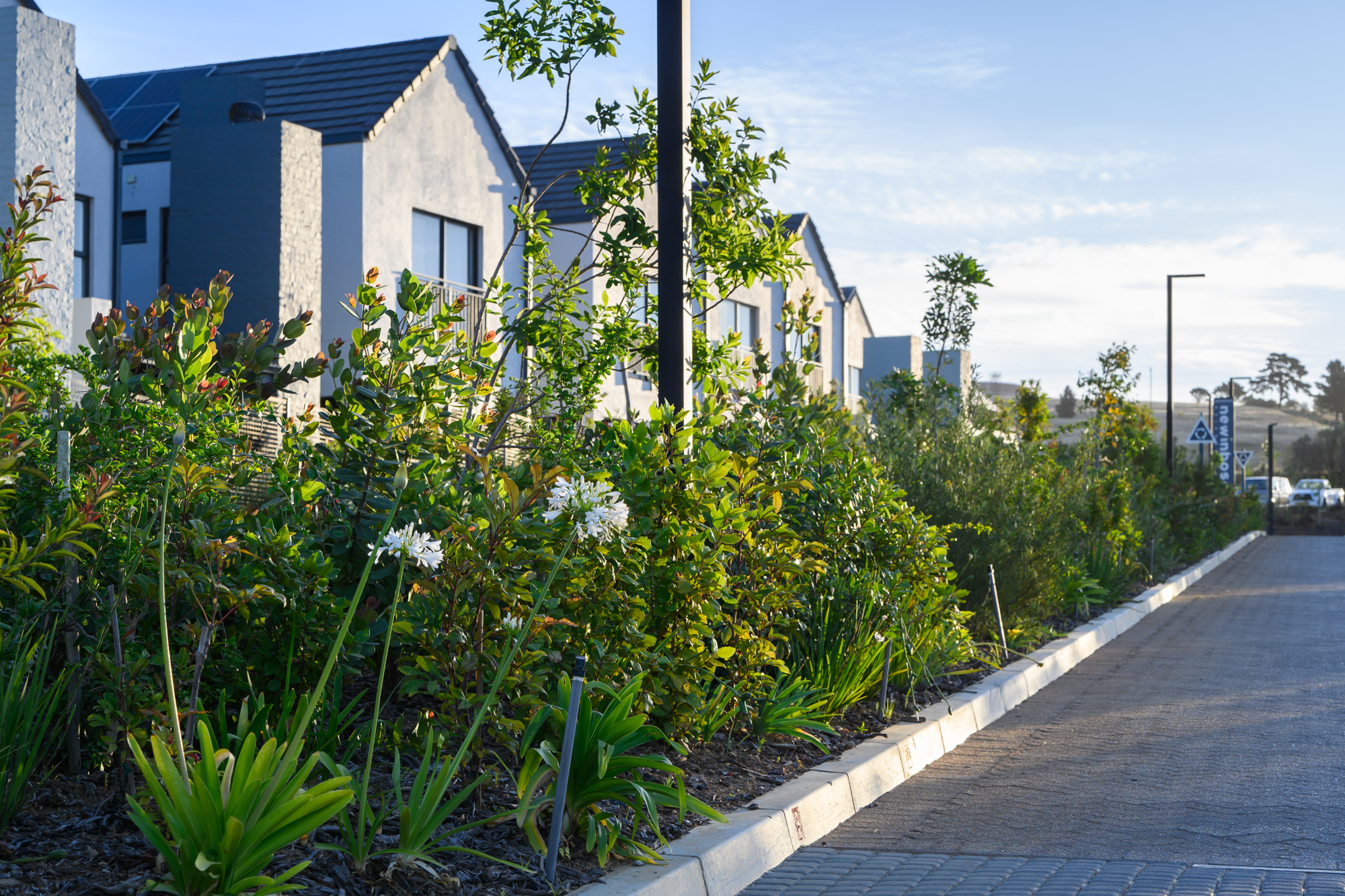 Waterwise blog