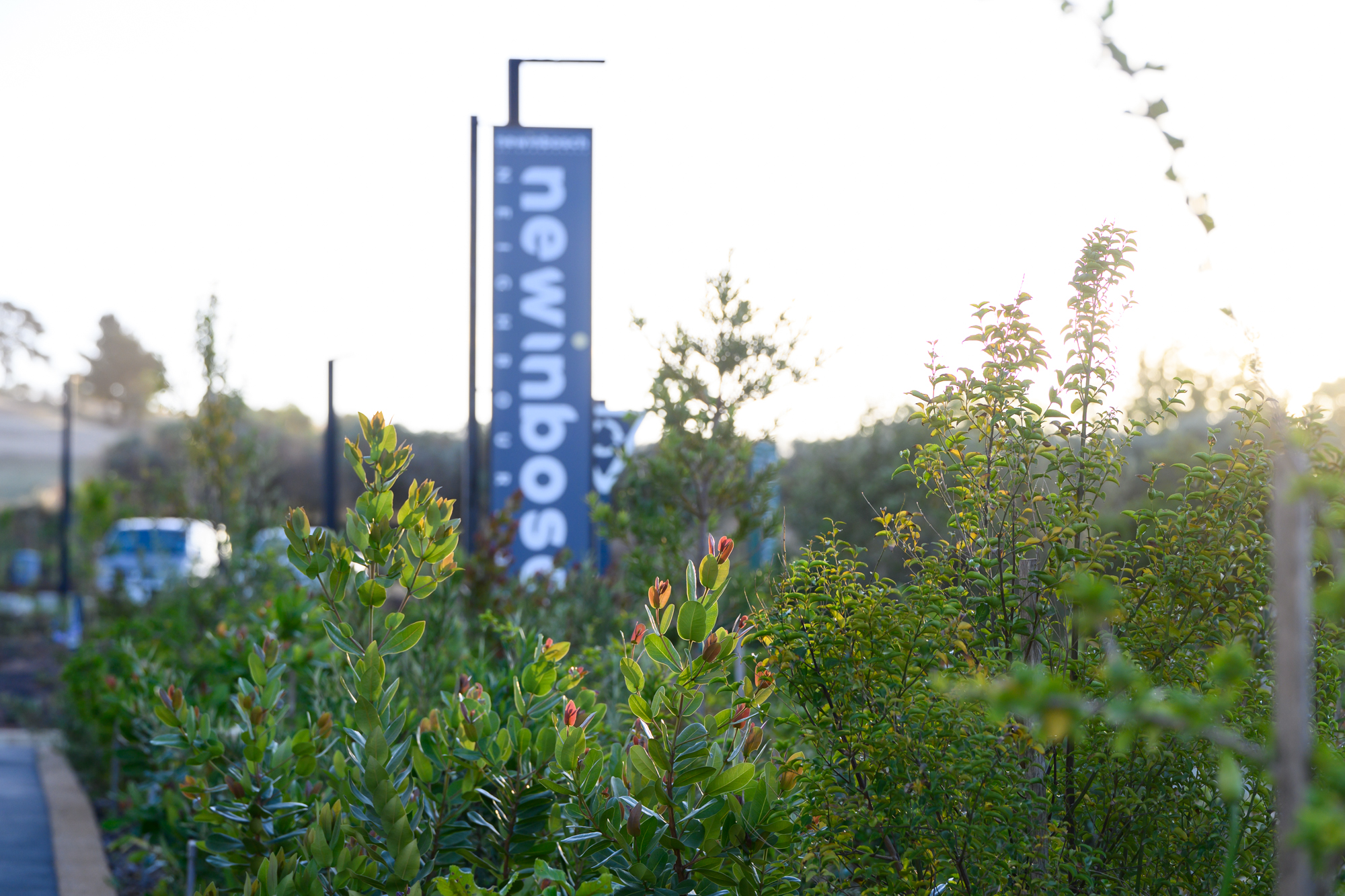 Newinbosch site update October 2025